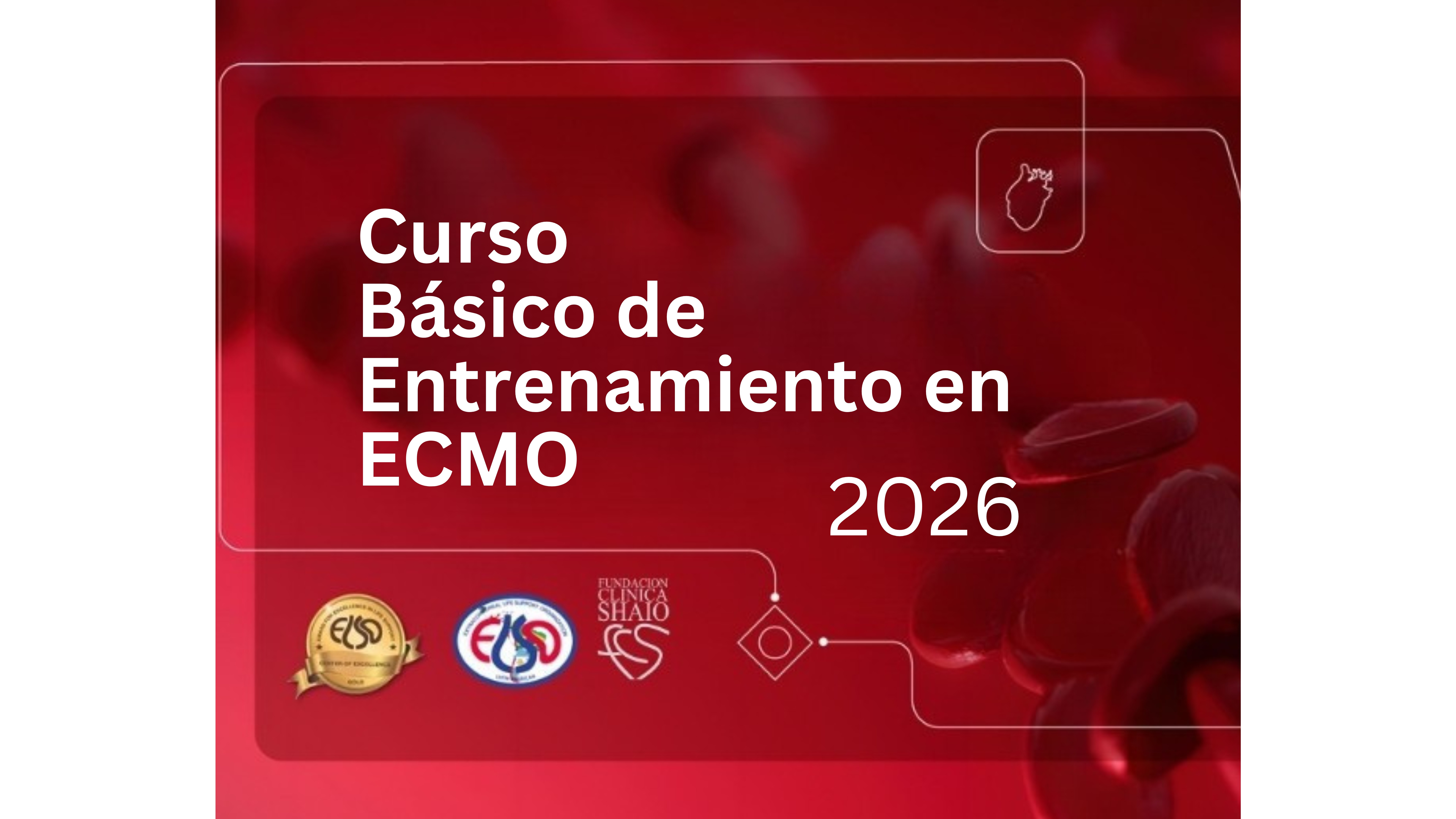 Curso